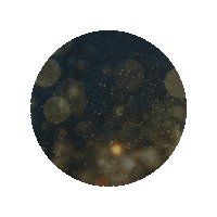 Lyrics Sticker by UMC