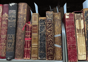 Books Shelfie GIF by Newberry Library