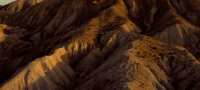 it came from the desert GIF by The Orchard Films