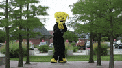 Wu_Shock ballin wsu wu threepointer GIF