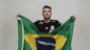 Rainbow Six Flag GIF by G2 Esports