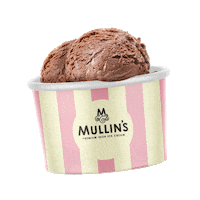 mullins_icecream chocolate ice cream dessert milk Sticker