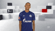 Follow Me Reaction GIF by Bundesliga
