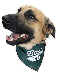 Love Dogs Happy Dog Sticker by Boss K9