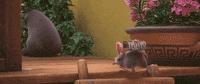 Ninja Mouse GIF by tatprod
