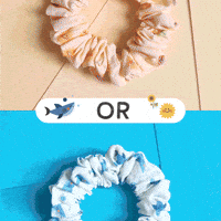 CatharinaS stopmotion choice split catharinas GIF