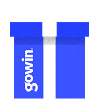 Gift Esferas Sticker by Gowin México