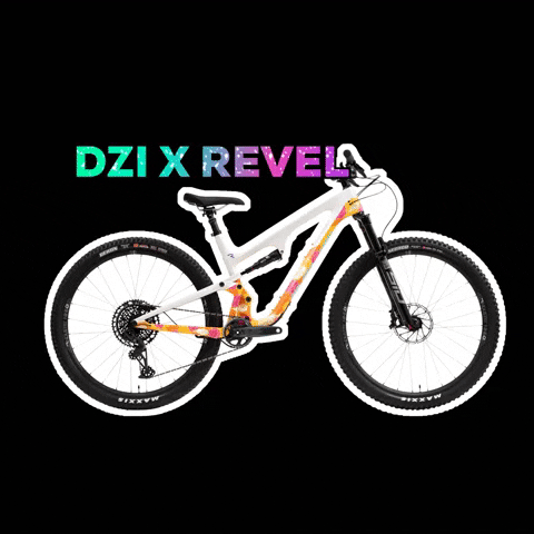 Bike Revel GIF by dZi Foundation