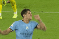 Champions League Football GIF by UEFA