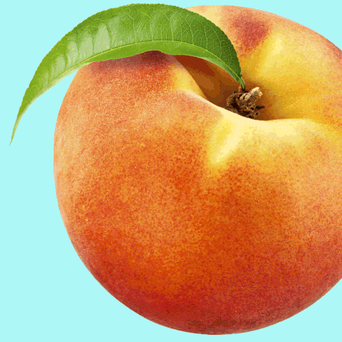 peach state GIF