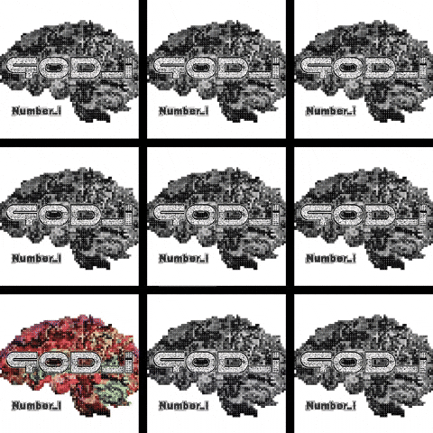 Numberi GIF