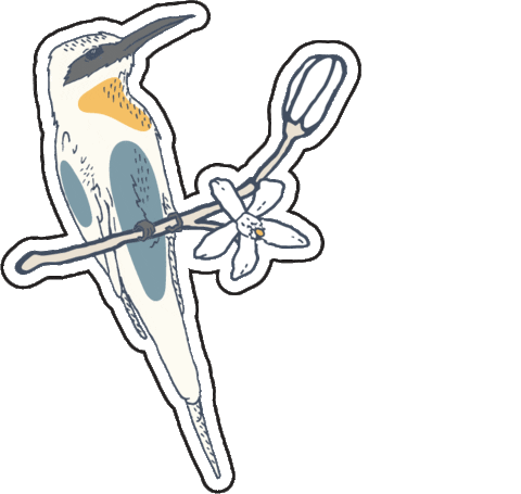 Bird Spring Sticker by YOOLETTA