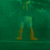 College Football GIF by GoDucks