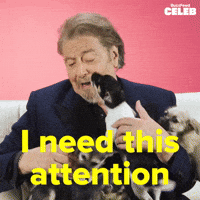Al Pacino Craves Attention
