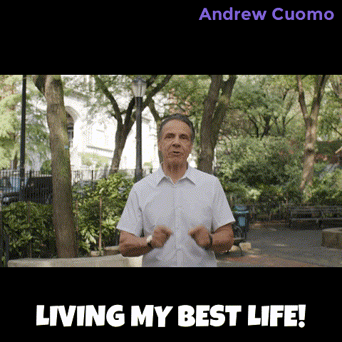 New York Power GIF by Andrew Cuomo