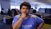 cricket good job GIF by KingfisherWorld
