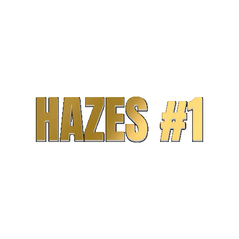 MedialaneLive giphygifmaker hazes andre hazes hzh Sticker
