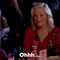 Season 3 Episode 13 GIF by Parks and Recreation