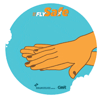 Flysafe Sticker by Delhi Airport