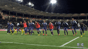 happy ligue 1 GIF by Toulouse Football Club