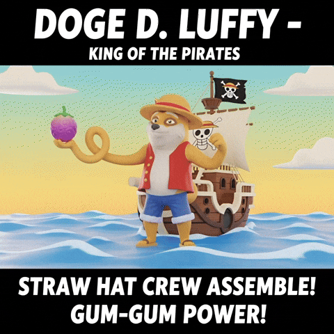 One Piece Pirate GIF by Doge Pound