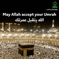 VeganArabs faith islam pray hajj GIF