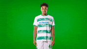 Goal Positive Vibes GIF by SpVgg Greuther Fürth