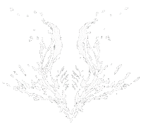 Loop Cult Sticker by Xbox