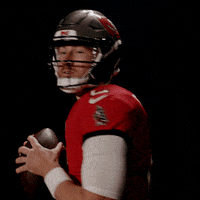 Tampa Bay Bucs GIF by Tampa Bay Buccaneers