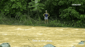 viceland jungletown GIF