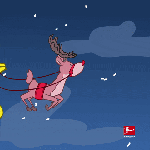 Merry Christmas Football GIF by Bundesliga