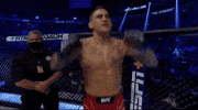 Dustin Poirier Sport GIF by UFC
