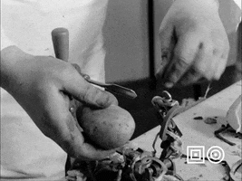 Vintage Cooking GIF by Beeld & Geluid