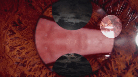 Art Video GIF by jorgemariozuleta