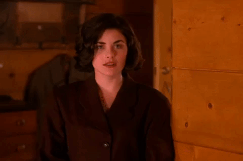 season 2 episode 10 GIF by Twin Peaks on Showtime