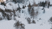 Glacier_3000 winter ski switzerland freeride GIF