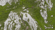 Run Running GIF by Glacier 3000