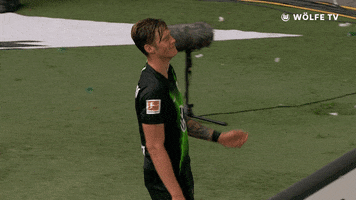 Soccer Bundesliga GIF by VfL Wolfsburg