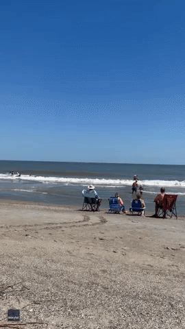 Jumping Dolphins Delight Beachgoers on Tybee Island