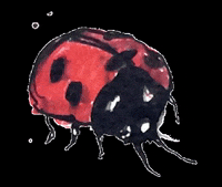 handdyeddiva lucky crochet yarn ladybug GIF