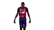 Liga Endesa Yes Sticker by ACB
