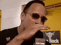 the rock wrestling GIF by WWE