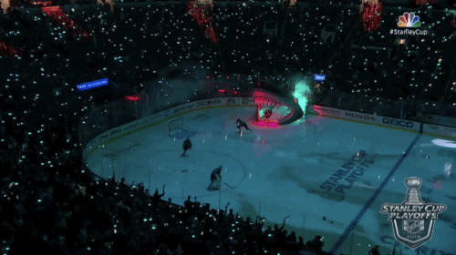 ice hockey sport GIF by NHL