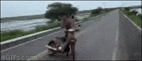 kid fail GIF