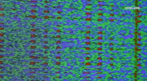 viceland GIF by Motherboard
