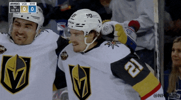 Ice Hockey Sport GIF by NHL