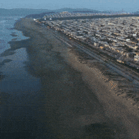 Ocean Beach