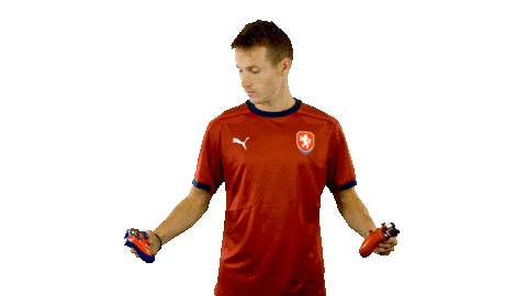 Playstation Ceskarepre Sticker by 2score