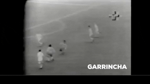 pedronuin giphygifmaker garrincha pedro nuin brasil 1962 GIF