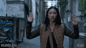 Oh No Nicky GIF by CW Kung Fu